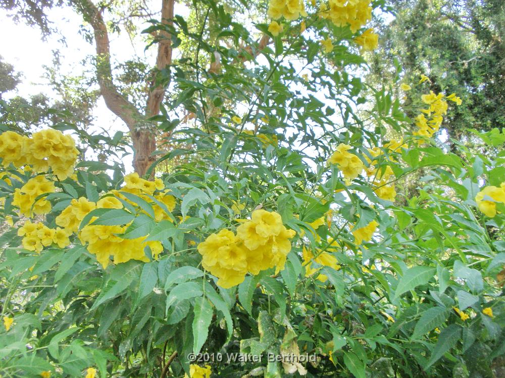 Botanischer Garten 05