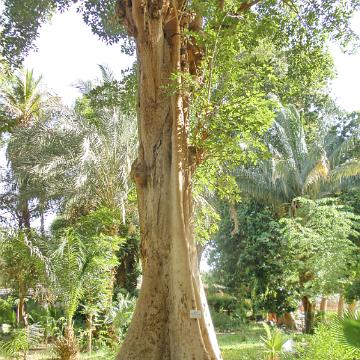 Botanischer Garten 10