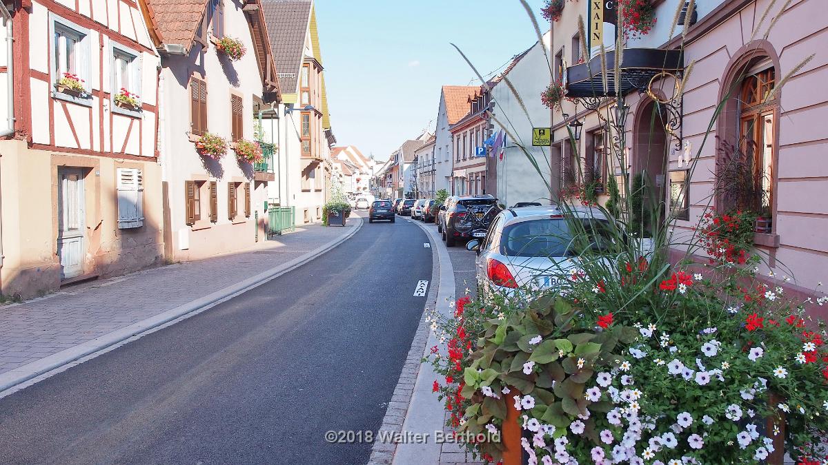 Elsass 2018 008