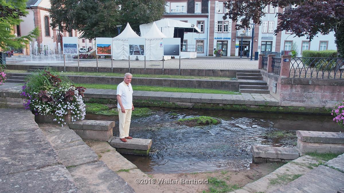 Elsass 2018 014