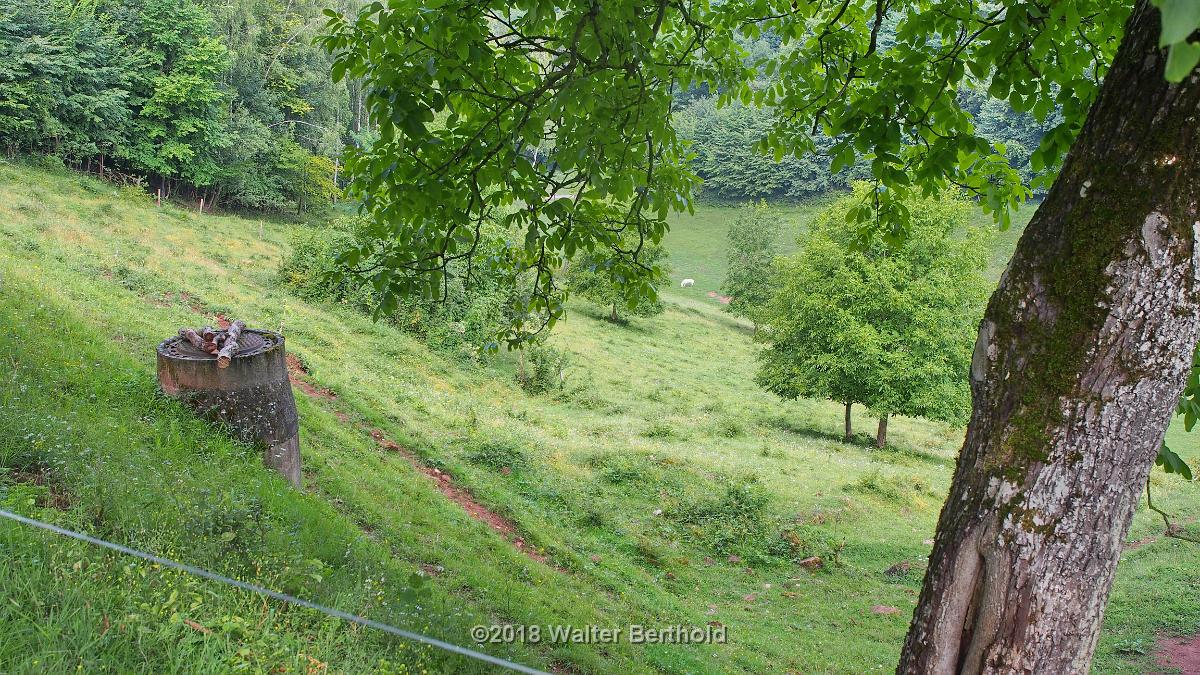 Elsass 2018 055