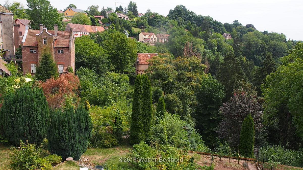 Elsass 2018 066