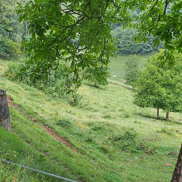 Elsass 2018 055