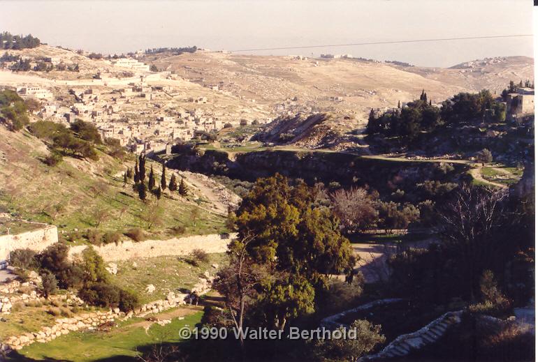 Israel91