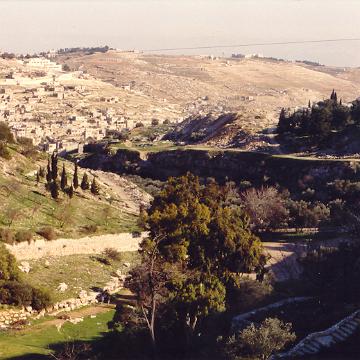 Israel91