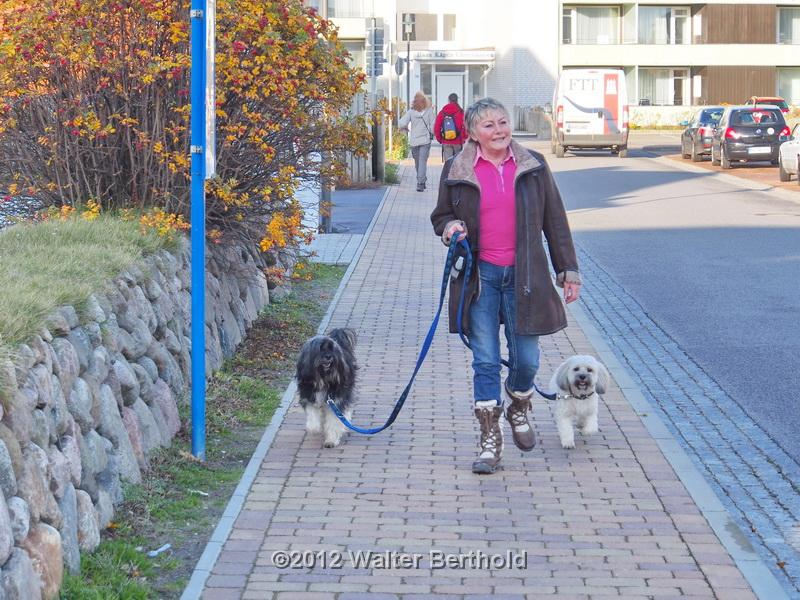 Sylt Nov 2012 029