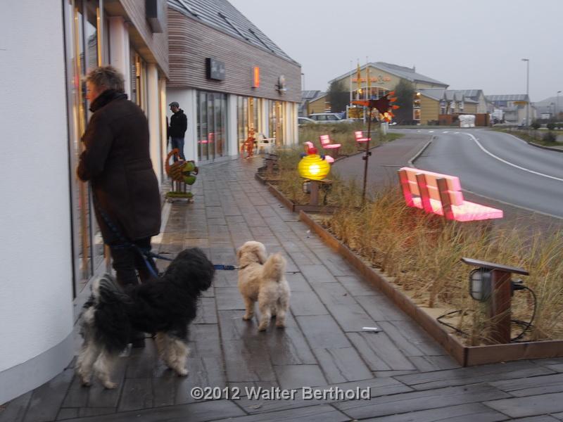 Sylt Nov 2012 035