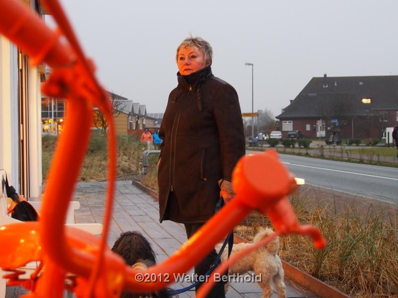 Sylt Nov 2012 037