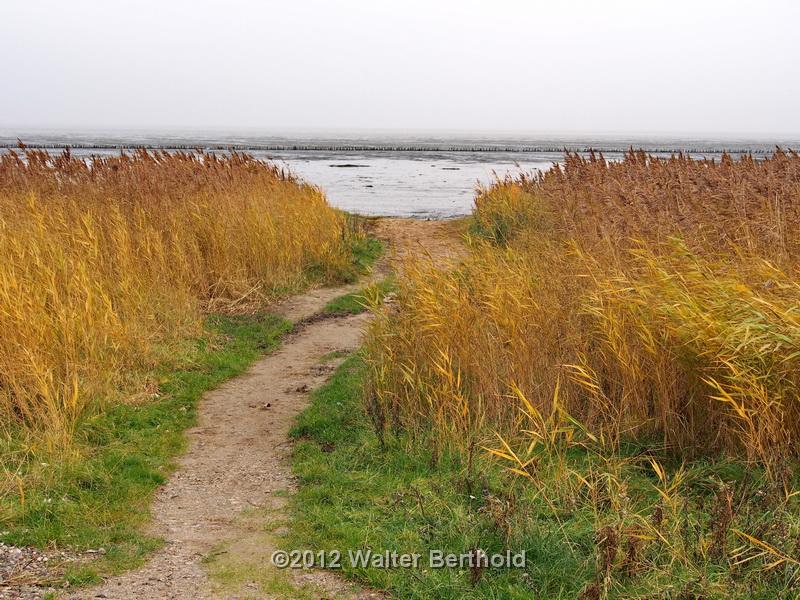 Sylt Nov 2012 076