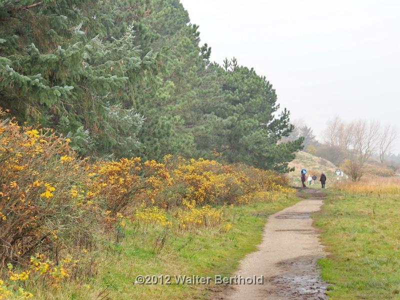 Sylt Nov 2012 078