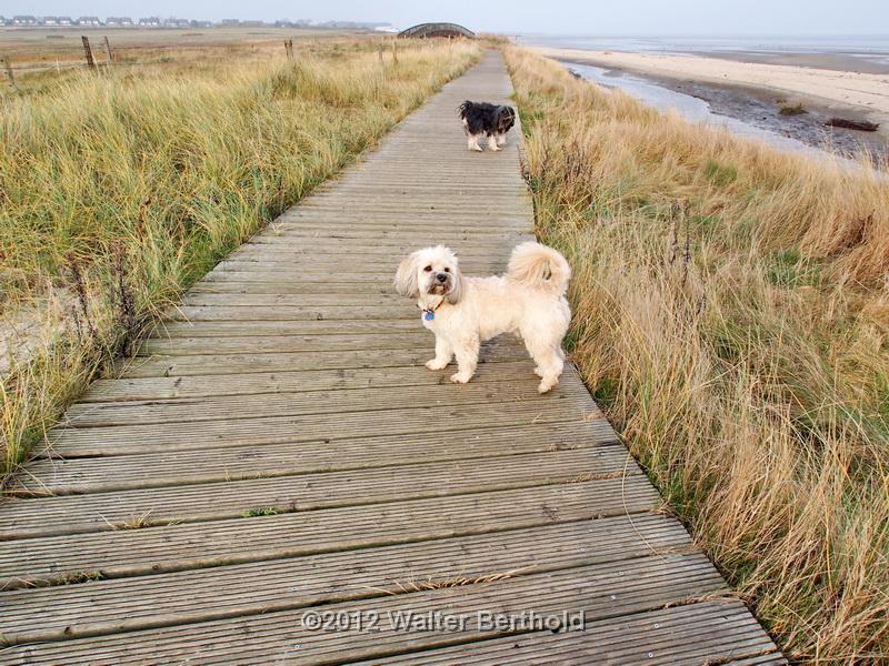 Sylt Nov 2012 098