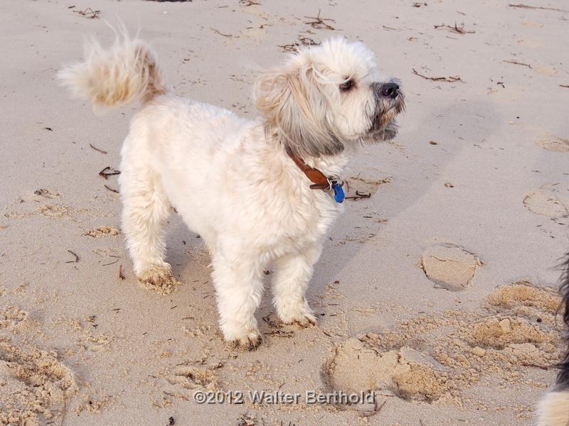 Sylt Nov 2012 104