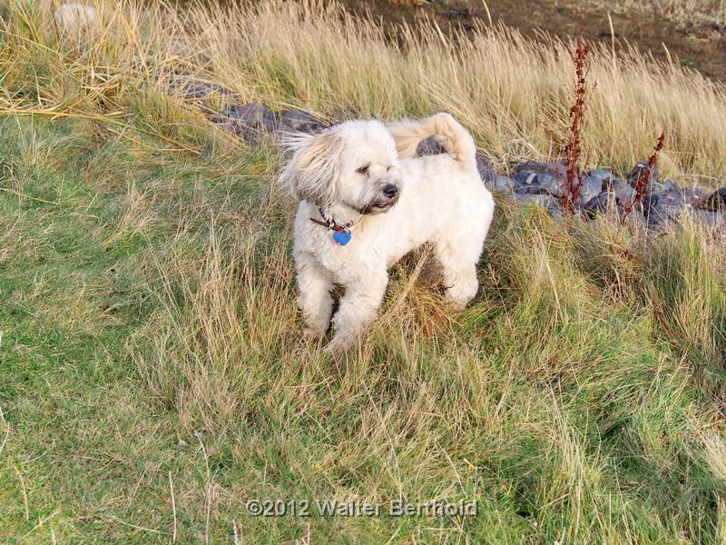 Sylt Nov 2012 108