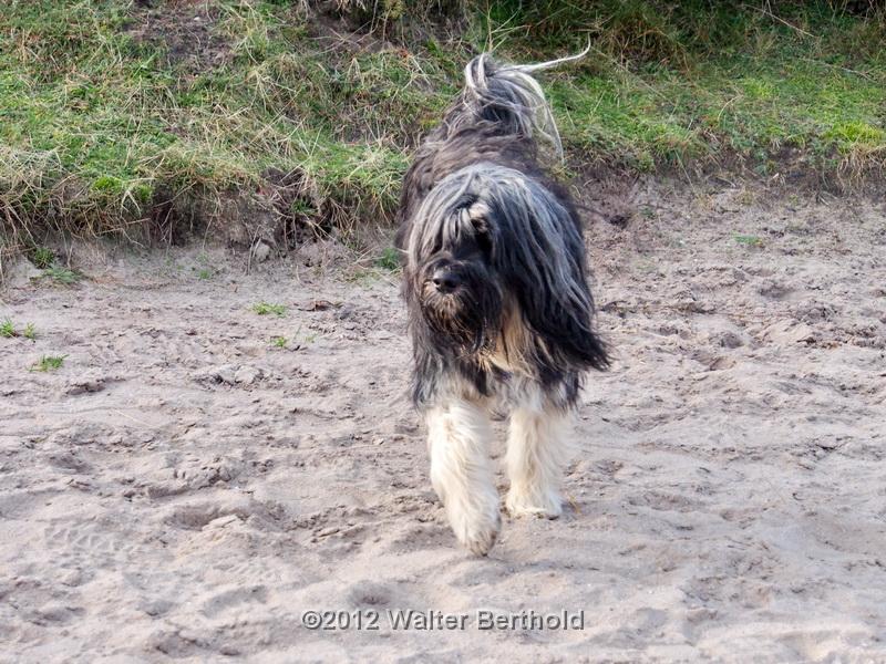 Sylt Nov 2012 113