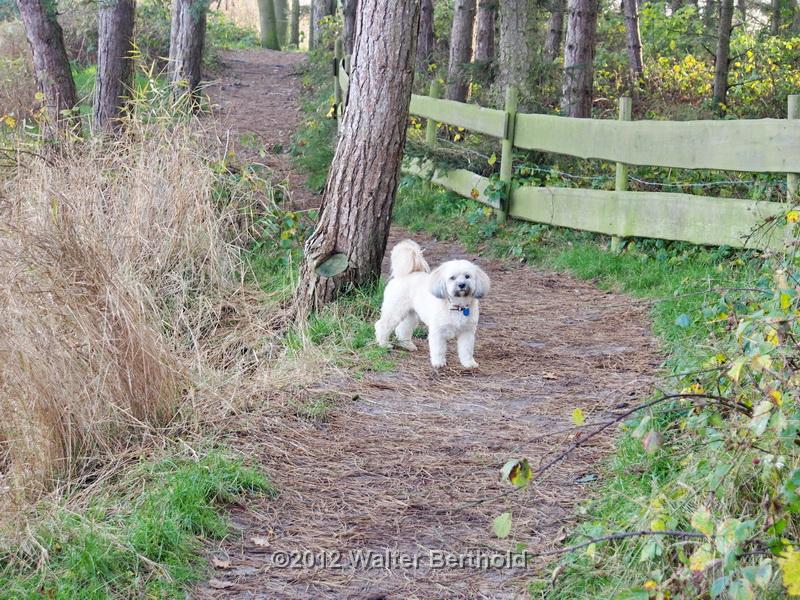 Sylt Nov 2012 138