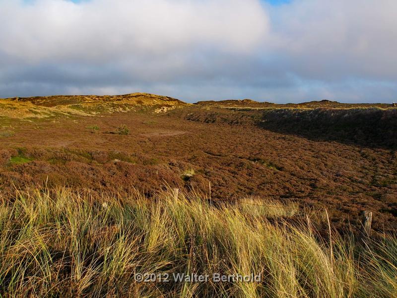 Sylt Nov 2012 204