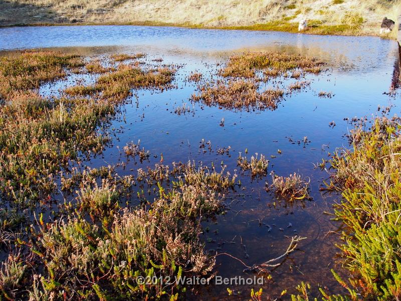 Sylt Nov 2012 206