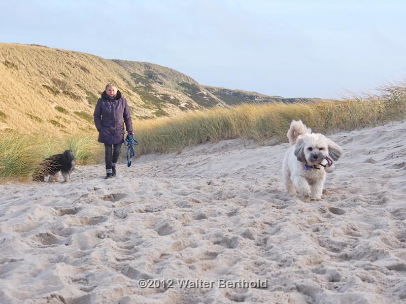 Sylt Nov 2012 207