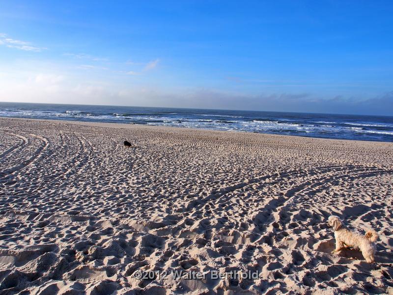 Sylt Nov 2012 212