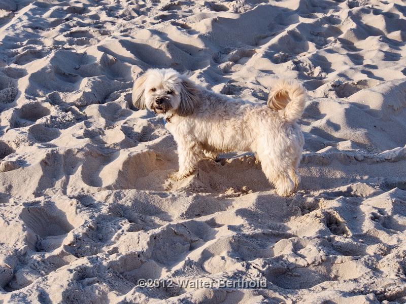 Sylt Nov 2012 213