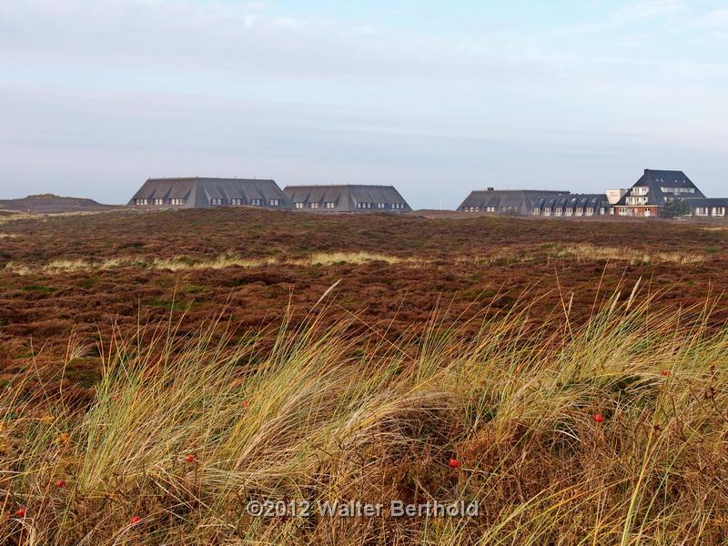 Sylt Nov 2012 230