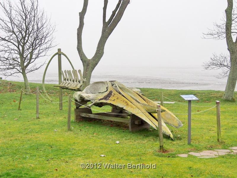 Sylt Nov 2012 303