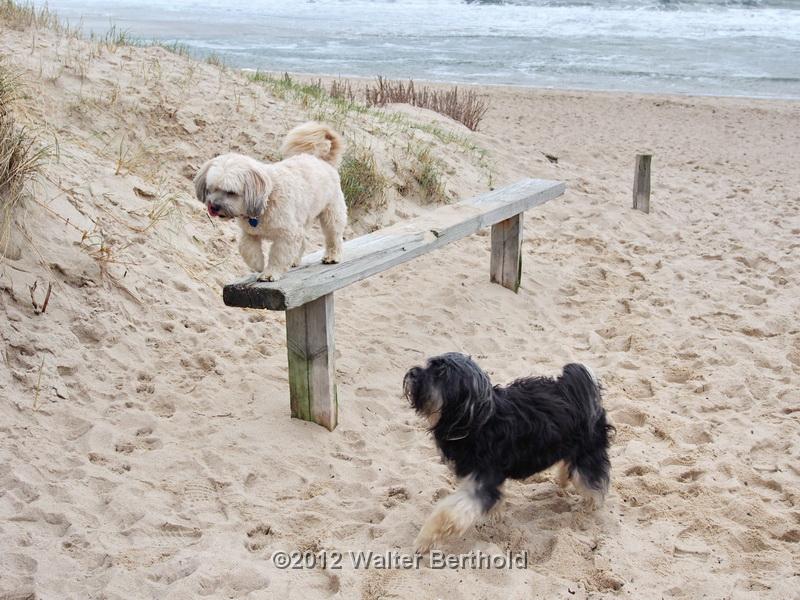 Sylt Nov 2012 321