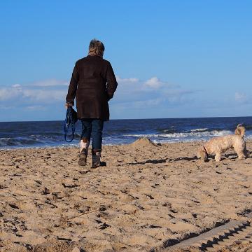 Sylt Nov 2012 007