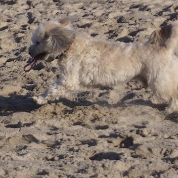 Sylt Nov 2012 016