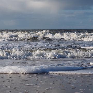 Sylt Nov 2012 023