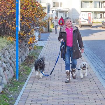 Sylt Nov 2012 029