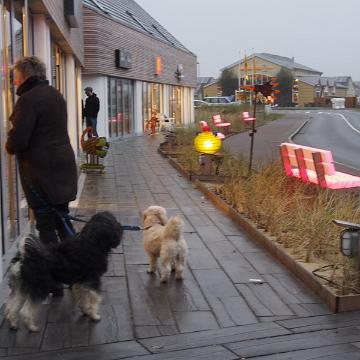 Sylt Nov 2012 035