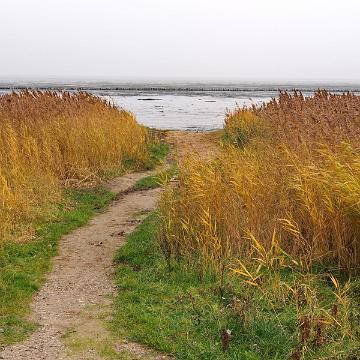 Sylt Nov 2012 076