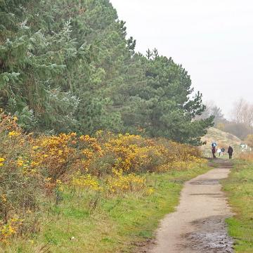 Sylt Nov 2012 078