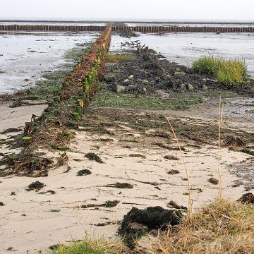 Sylt Nov 2012 086