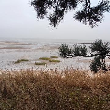 Sylt Nov 2012 094