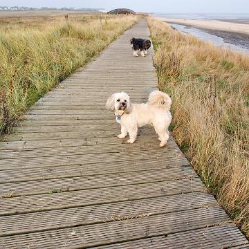 Sylt Nov 2012 098