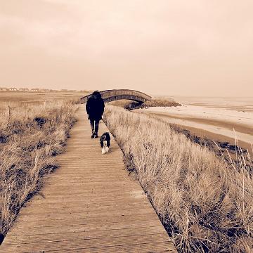 Sylt Nov 2012 099