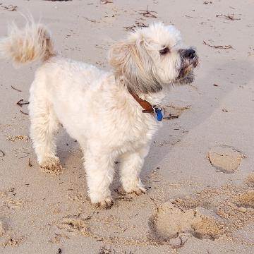 Sylt Nov 2012 104