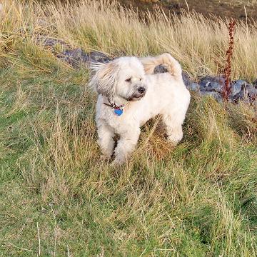 Sylt Nov 2012 108