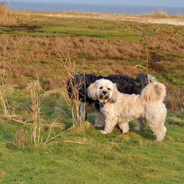 Sylt Nov 2012 117