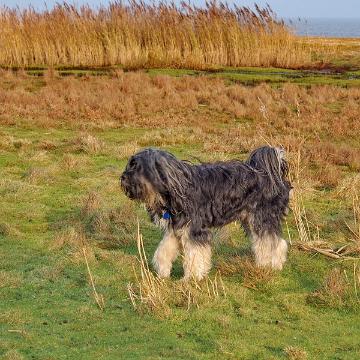 Sylt Nov 2012 118