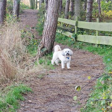 Sylt Nov 2012 138