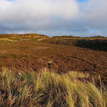 Sylt Nov 2012 204