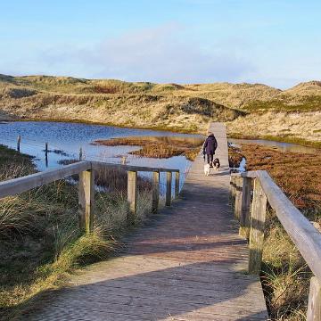 Sylt Nov 2012 205