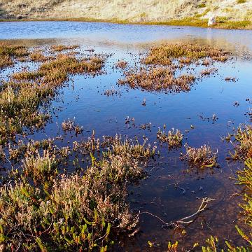 Sylt Nov 2012 206