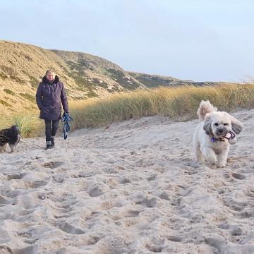 Sylt Nov 2012 207