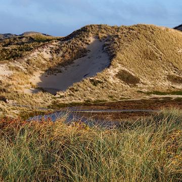 Sylt Nov 2012 209