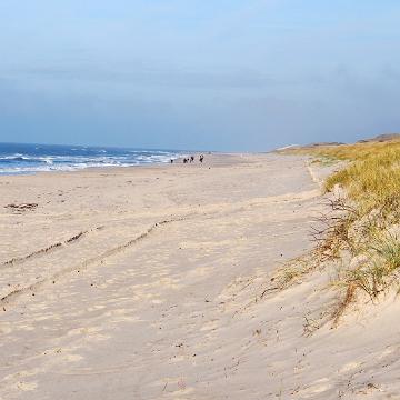 Sylt Nov 2012 211