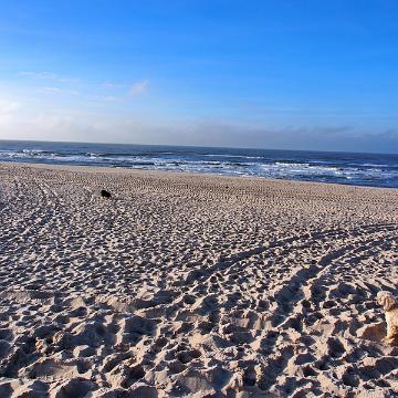 Sylt Nov 2012 212